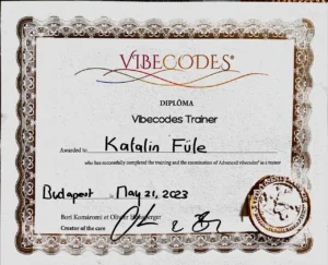 VIBECODES Diploma Füle Katalin