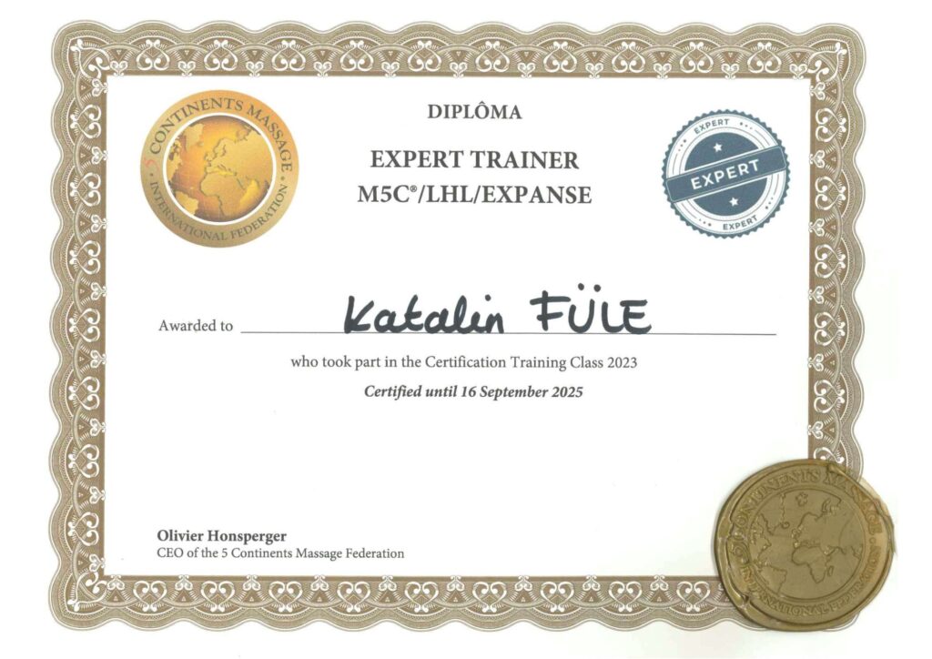 M5C Expert Füle Katalin